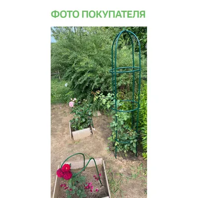 Опора для роз металл ø40 h 190 см – купить в Алматы по цене 9140 тенге –  интернет-магазин Леруа Мерлен Казахстан