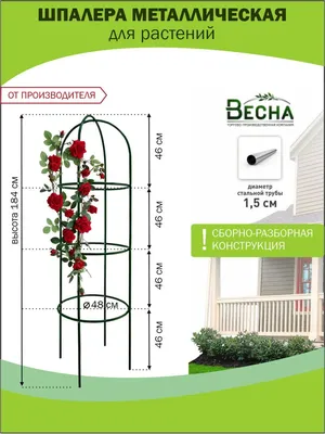 Опора для плетистых роз - как сделать самостоятельно, лайфхаки | РозоЦвет