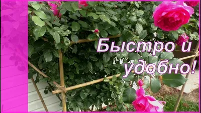Опоры для цветов купить в интернет-магазине HiTSAD | Покупайте онлайн с  доставкой!