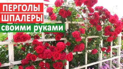 Сетка для винограда и загонов, плетистых роз 95*90мм 1*10м, Ф-90/1/10.  (ID#93861258), цена: 77.77 руб., купить на Deal.by