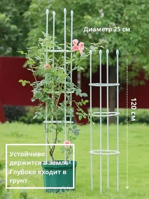 Опоры для роз, шпалера, пергола - подпорки для плетистых роз