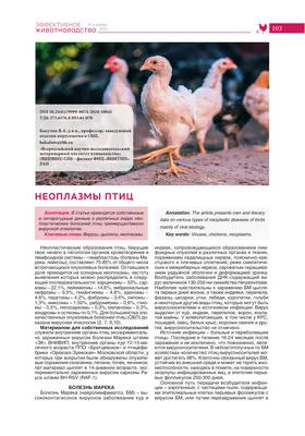 Наиболее распространенные дефекты куриного яйца – тема научной статьи по  ветеринарным наукам читайте бесплатно текст научно-исследовательской работы  в электронной библиотеке КиберЛенинка