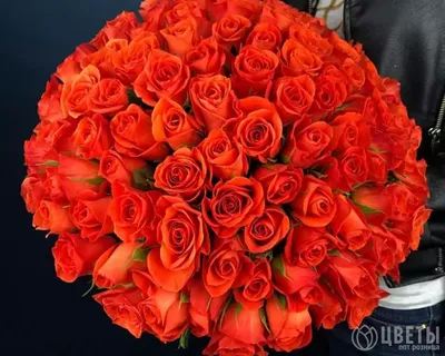101 оранжевая роза – купить недорого с доставкой по Москве