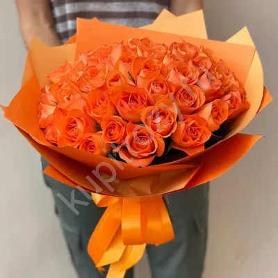 51 оранжевая роза 40 см Кения- купить в СПб с доставкой в интернет магазине  \"Цветочкин\"