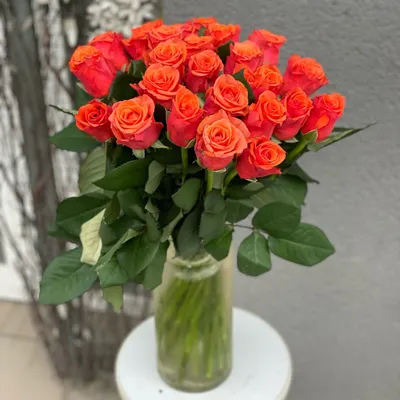 Купить 31 оранжевая роза
