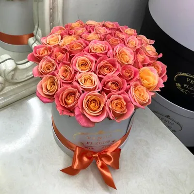 Одна оранжевая роза стоковое фото. изображение насчитывающей зеленый -  158356336