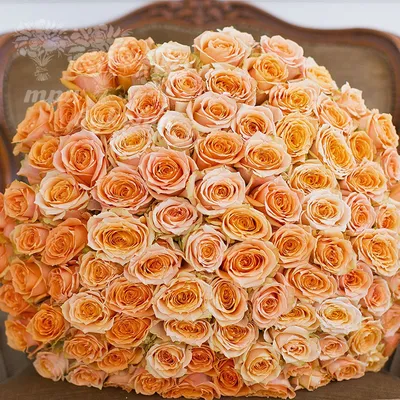 101 красно-оранжевая роза в оформлении доставка в Чите | \"Оазис\"
