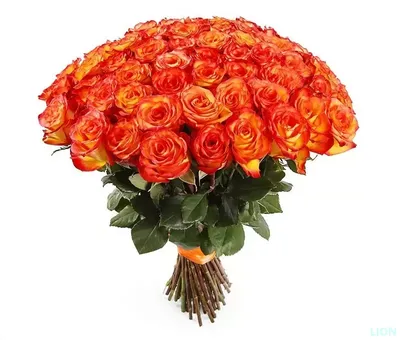 101 оранжевая роза (Premium) 70 см за 26770 ₽ с доставкой по Москве