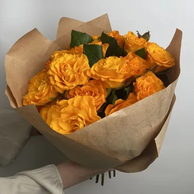 Роза Чайно-гибридная Вау, Ярко-оранжевая - Купить саженцы чайно-гибридных  роз в Москве и МО