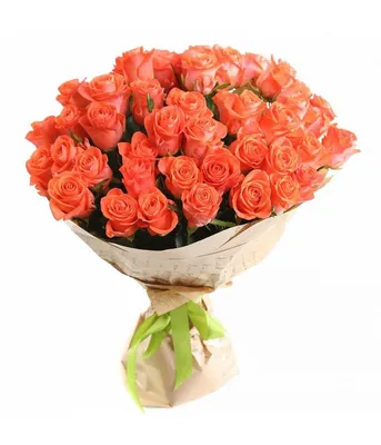 101 оранжевая роза premium 60 см - купить в Москве по цене 12990 р - Magic  Flower