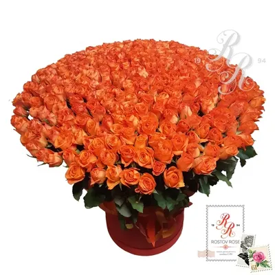 Купить Оранжевую розу в колбе (большую) в интернет-магазине в Москве