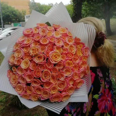 51 оранжевая роза (Кения) купить с доставкой в Москве | Заказать букет  цветов недорого