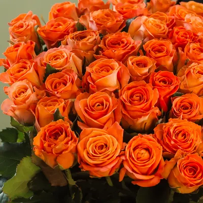 Букет 21 кустовая оранжевая роза с доставкой в Санкт-Петербурге.