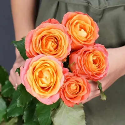 Свежие 21 оранжевая роза в крафте по цене 4773 ₽ - купить в RoseMarkt с  доставкой по Санкт-Петербургу