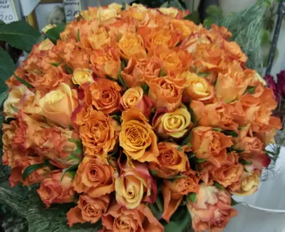 51 оранжевая роза с доставкой по Астане — Cvety.kz