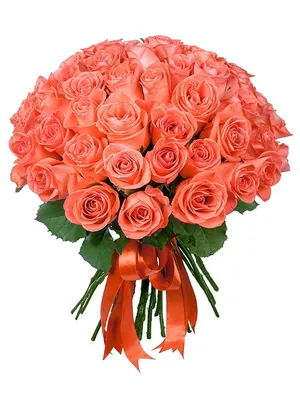 Купить букет из 41 оранжевой розы в шляпной коробке недорого в Кирове
