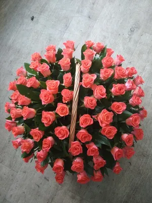 51 оранжево-красная роза Эквадор 50-60 см купить в Нижнем Новгороде