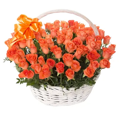 Цветы Оптом, 51 оранжевая роза - 3060 руб..