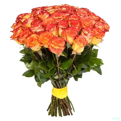 Заказать Нежно-оранжевая Роза за 200 руб. в городе Кургане - «Цветочный»