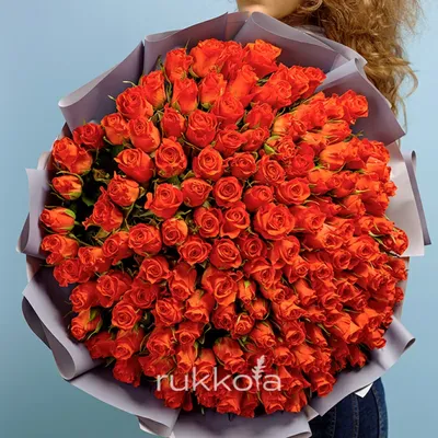 Купить 101 оранжевая роза с доставкой по СПБ и ЛО