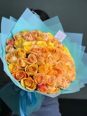 51 оранжевая роза сорта Hight Magic купить в Минске - LIONflowers