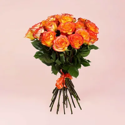 6) Оранжевая роза с доставкой в Анапе в интернет магазине цветов Роз  Новоросс