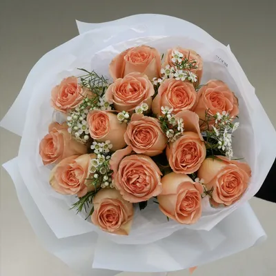 151 оранжевая роза (Кения) купить с доставкой в Москве | Заказать букет  цветов недорого