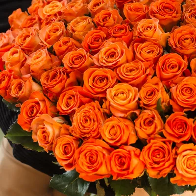 Свежие 41 оранжевая роза в крафте по цене 8233 ₽ - купить в RoseMarkt с  доставкой по Санкт-Петербургу