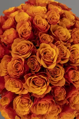 31 оранжевая роза в шляпной коробке купить в Москве с доставкой недорого