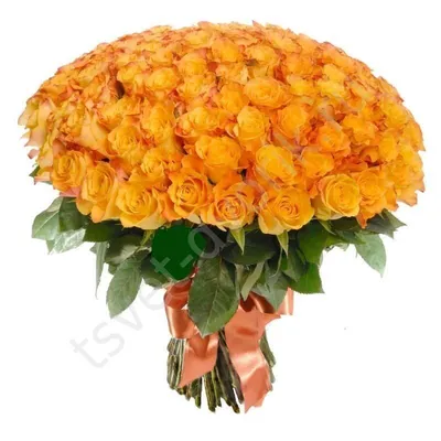 51 оранжевая роза в крафте – купить недорого с доставкой