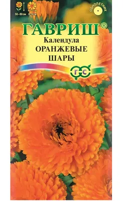 Купить Гвоздики Одиночные Оранжевые в Минске с доставкой из цветочного  магазина