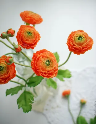 Оранжевые кустовые розы 15 шт - купить по цене руб с доставкой по Воронежу:  недорого заказать на сайте Цветочный магазин Океан цветов
