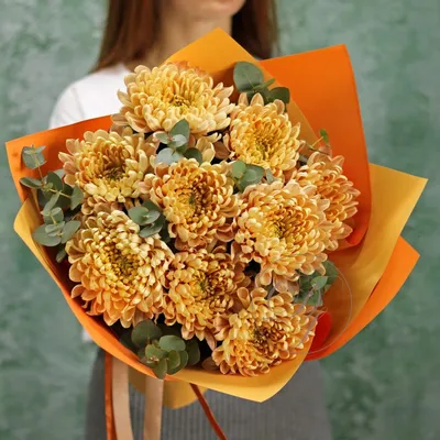 Картинка Оранжевый цветок Хризантемы Много Крупным планом | Цветок,  Хризантемы, Цветы