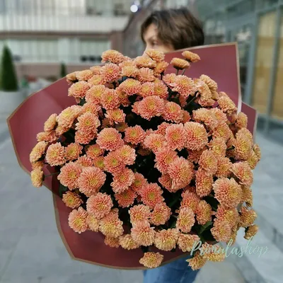Купить Хризантемы «Персиковое облако» за 3 680 руб. в Красноярске