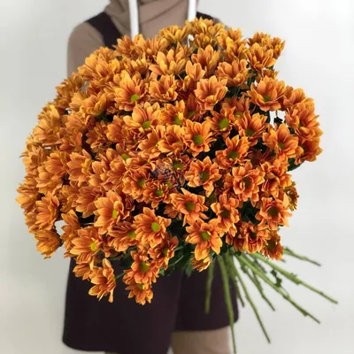 Хризантемы купить букет | Доставка цветов Москва | Интернет-магазин  dakotaflora.com