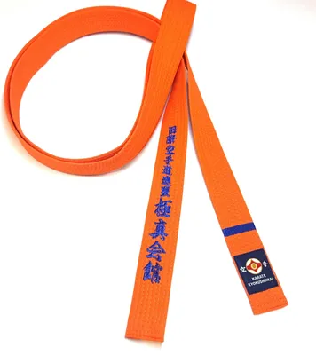 Оранжевый пояс с синей полоской каратэ - 63 фото