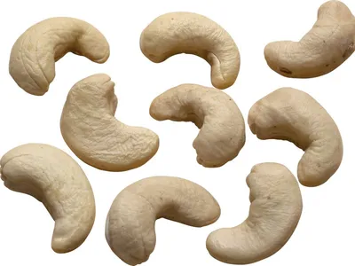 Сорта грецкого ореха: разновидности грецкого ореха - Agro-Market24