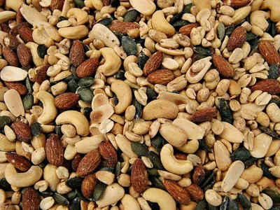 Польза миндаля, фундука, кедровых и других орехов для здоровья