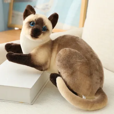 Новинка 45 см Имитация животных плюшевые игрушки милые животные сиамская  кошка китайская кошка плюшевые куклы мягкие плюшевые игрушки подарок на  день рождения для девочек | AliExpress