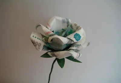 Оригами из денег евро (43 фото) »
