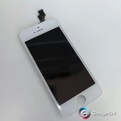 Купить Экран/Дисплей/Модуль iPhone 5S оригинал (белый) в интернет-магазине  GadgetDV
