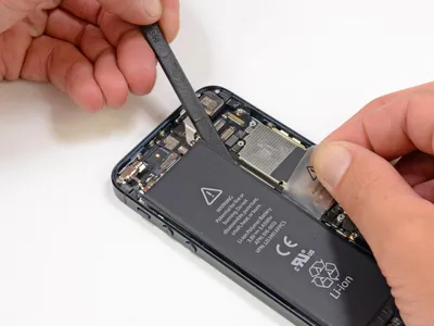 Телефон Apple iPhone 5S 16Gb Space Gray купить в Иркутске. Цена на Телефон  Apple iPhone 5S 16Gb Space Gray : отзывы, описания, характеристики