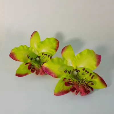 Купить Моно букет из орхидеи с доставкой в Курске, каталог Цветы и букеты  на День матери - «MarnaFlowers».