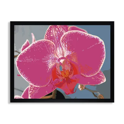 Фотообои Ветка орхидеи арт.:28698. Каталог: Цветы, Растения | arte1.ru