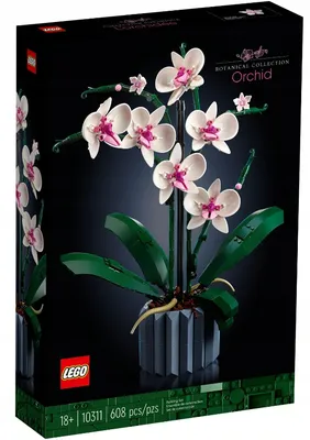 Раскраска по номерам Орхидея фаленопсис / Цветы / Каталог,