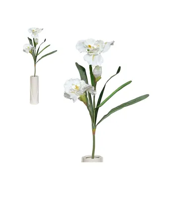 Хабенария (плавающая орхидея) / Water Spider Orchid (Habenaria repens) из  бумаги, модели сборные бумажные скачать бесплатно - Цветы - Поделки -  Каталог моделей - «Только бумага»