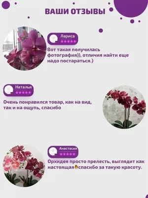 Кукла \"Анастасия-Орхидея\" озвученная 42 см (В1832/о) Весна — купить в  интернет-магазине www.SmartyToys.ru