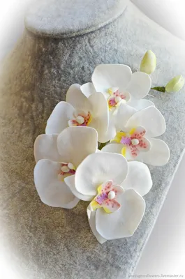 Фотообои Крупная белая ветка орхидеи артикул Fl-424 купить в Архангельске |  интернет-магазин ArtFresco