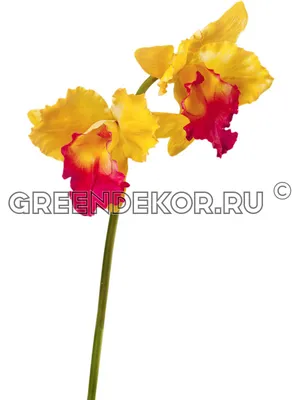 Прикроватная тумба Орхидея СП-002-16 (белая)