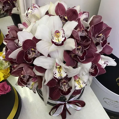 Искусственная бордовая орхидея. Искусственные цветы. Купить цветы для  декора. Все для декора